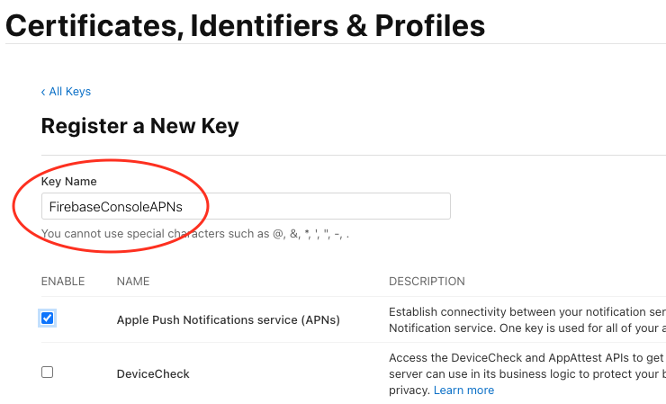 Captura de tela cortada da página do desenvolvedor da Apple destacando a caixa de texto do novo nome da chave